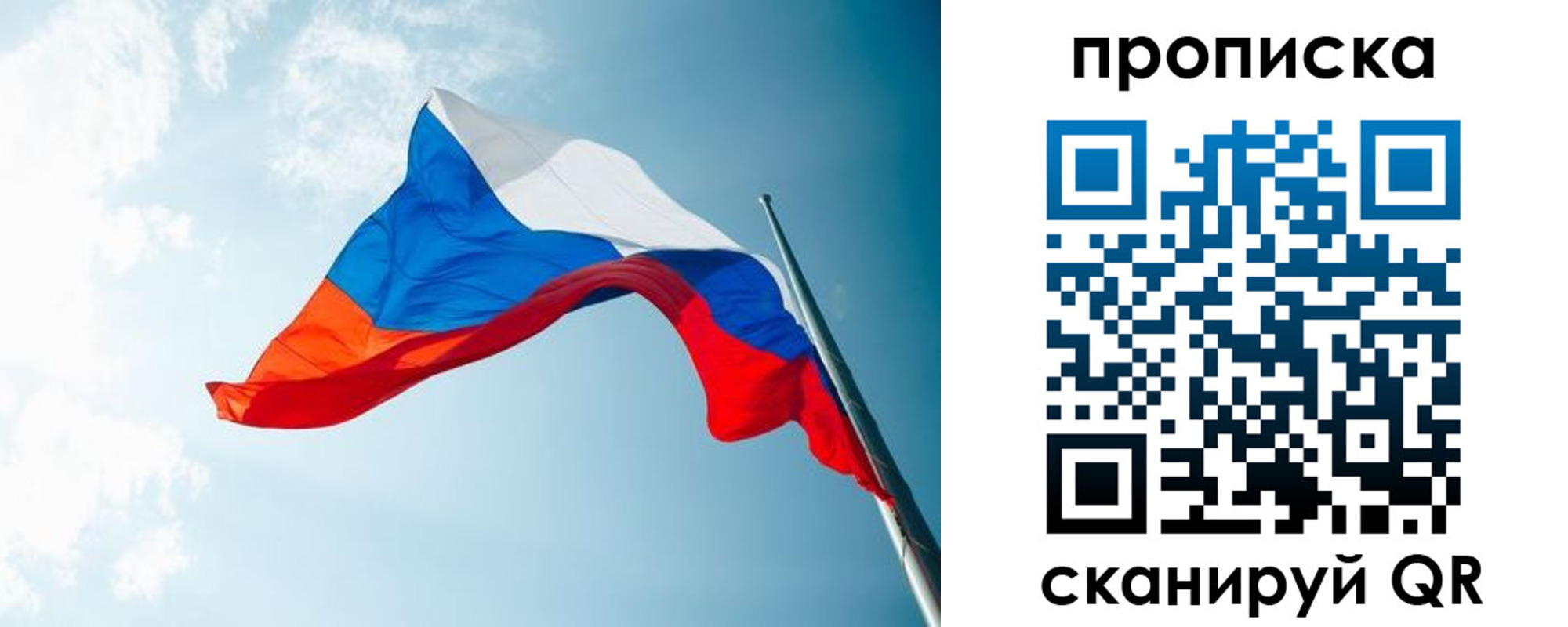 найти адрес прописки в Ельне