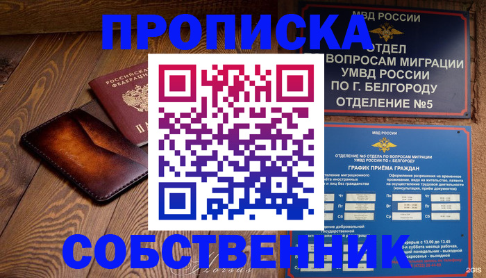 временная регистрация 2025 в Ельне